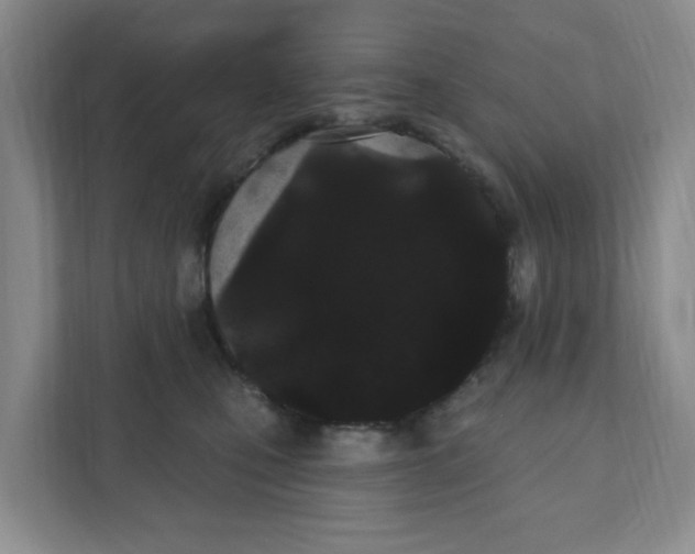 X0000111420471200908031308