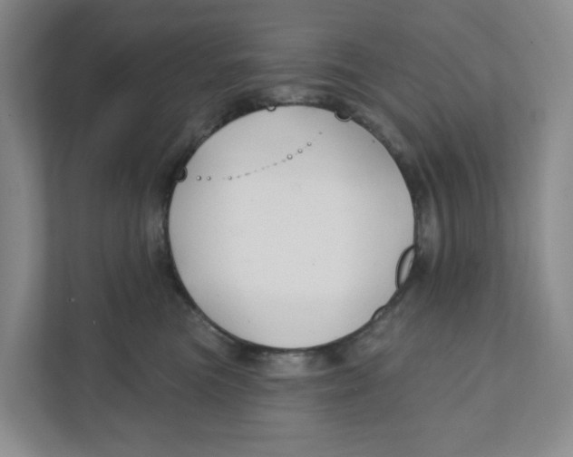 X0000111420473200908031308