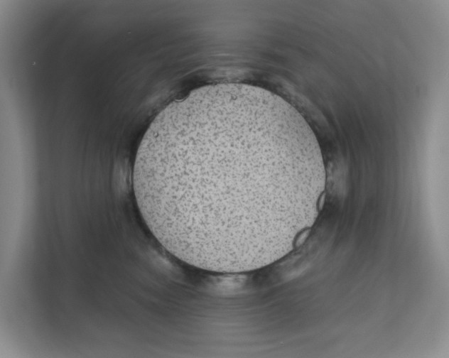 X0000111420474200908031308