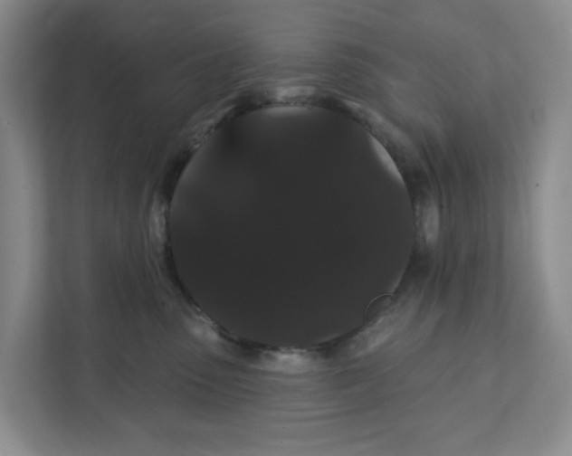 X0000111420475200908031308