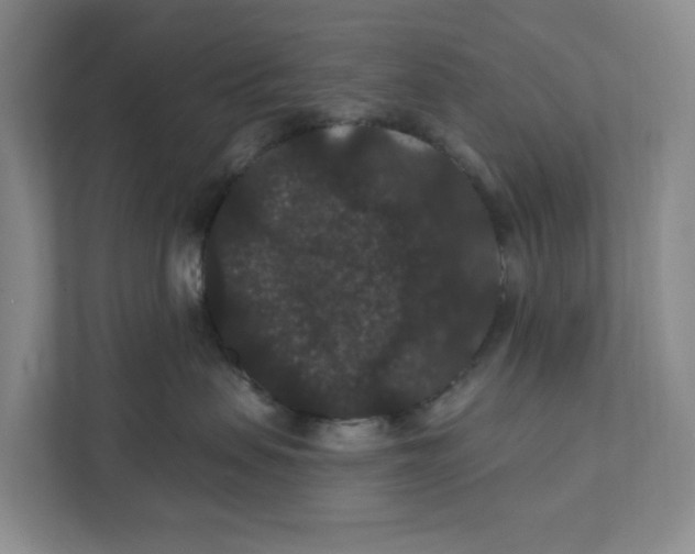 X0000111420479200908031308