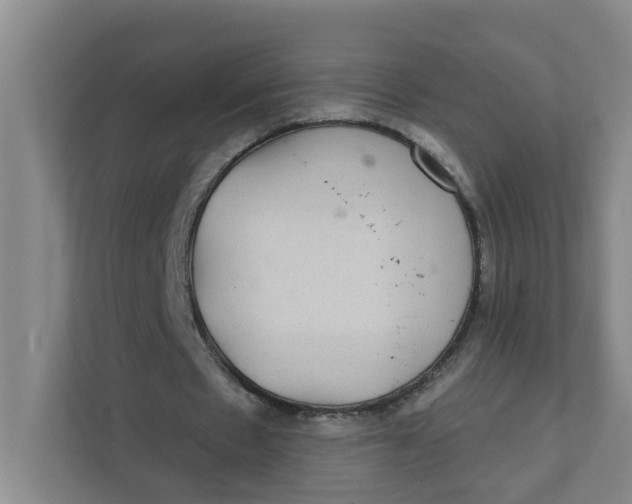 X0000111420481200908031308