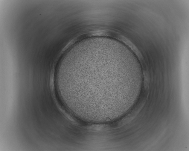 X0000111420482200908031308