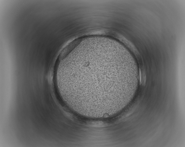X0000111420483200908031308
