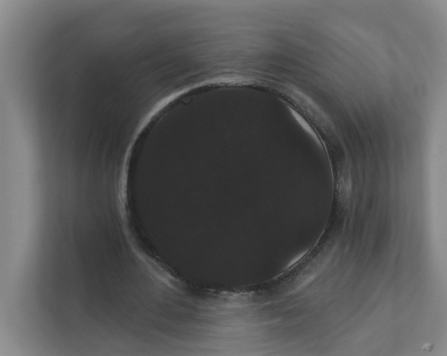 X0000111420484200908031308