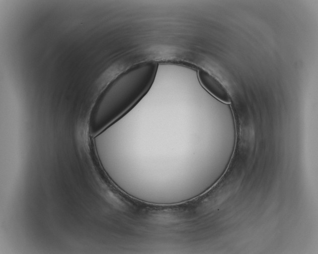 X0000111420485200908031308