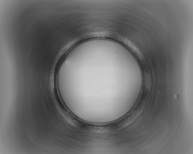 X0000111420486200908031308