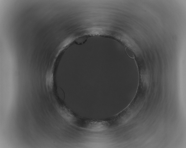 X0000111420488200908031308