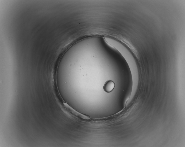 X0000111420489200908031308