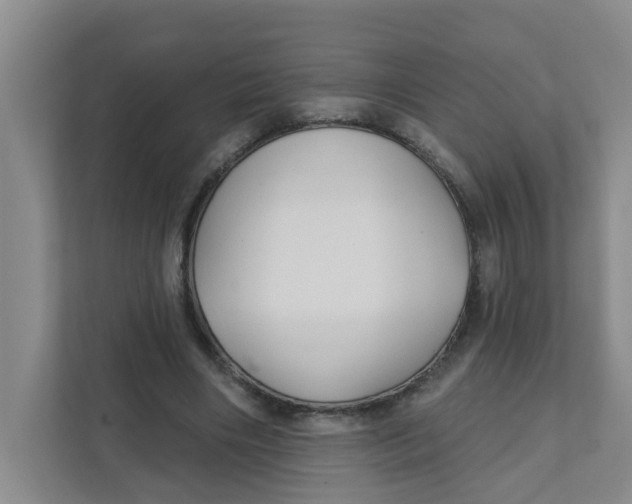 X0000111420490200908031308