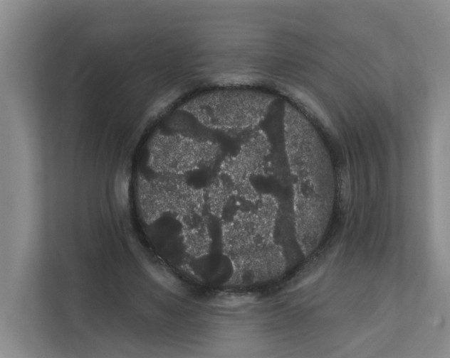 X0000111420491200908031308