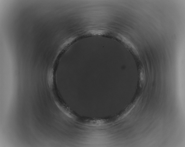 X0000111420492200908031308