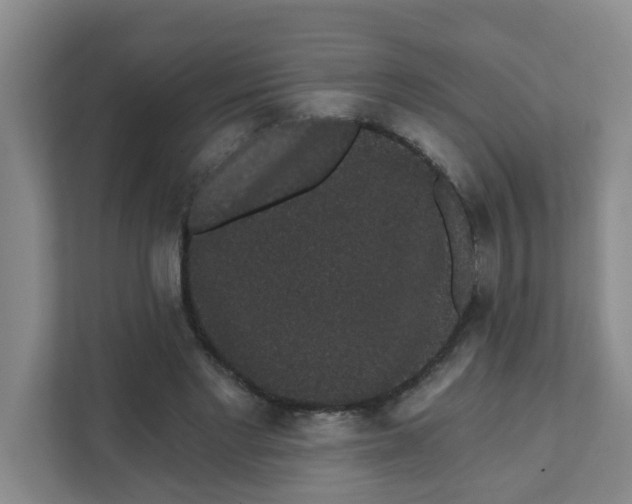X0000111420493200908031308