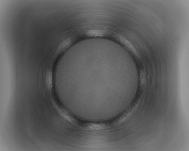 X0000111420494200908031308