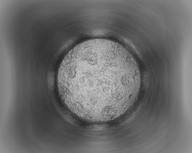 X0000111420495200908031308