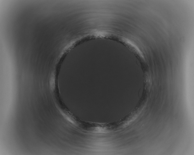 X0000111420496200908031308
