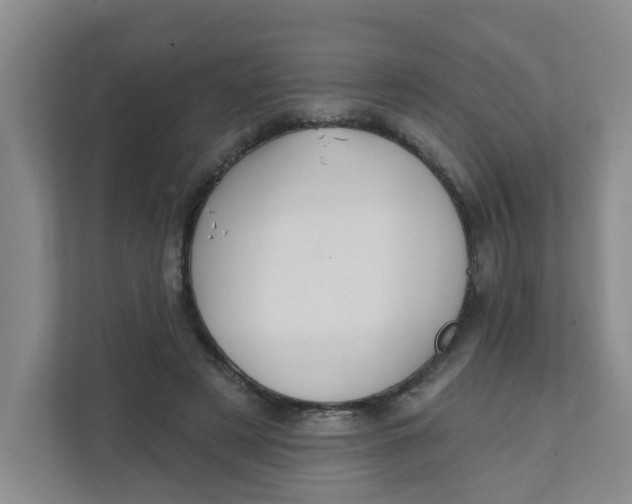 X0000111420497200908031308
