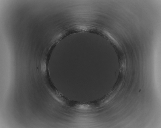X0000111420500200908031308