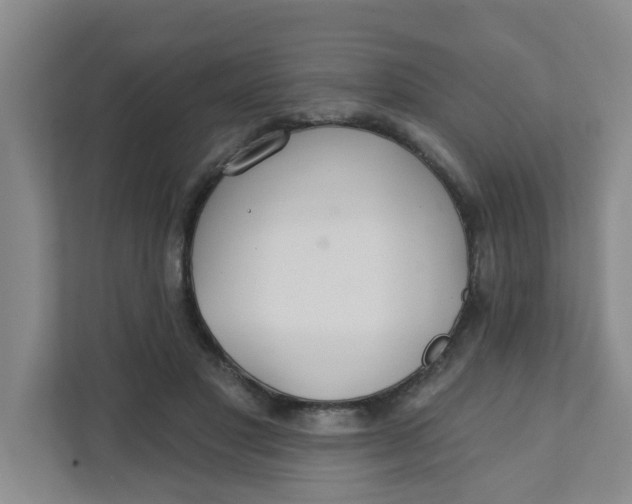 X0000111420501200908031308