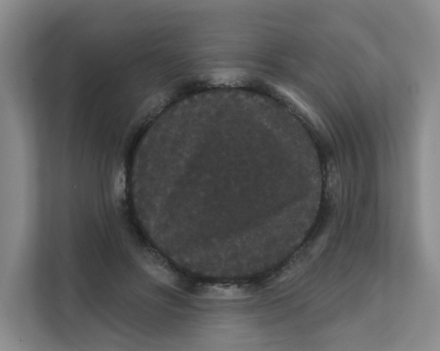 X0000111420502200908031308