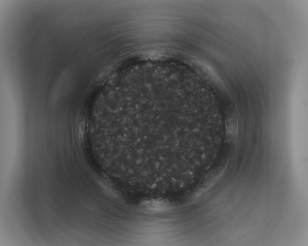 X0000111420503200908031308