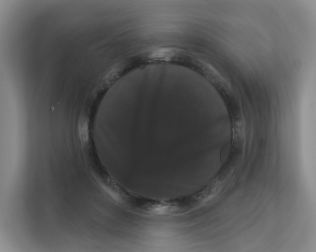 X0000111420504200908031307