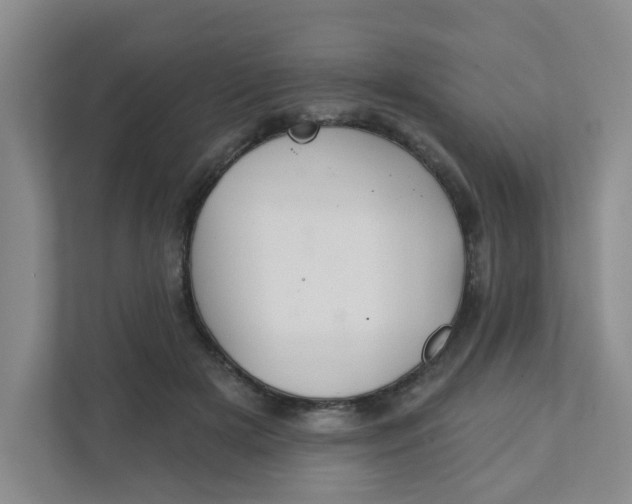 X0000111420505200908031307