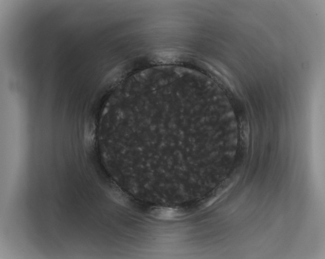 X0000111420507200908031307