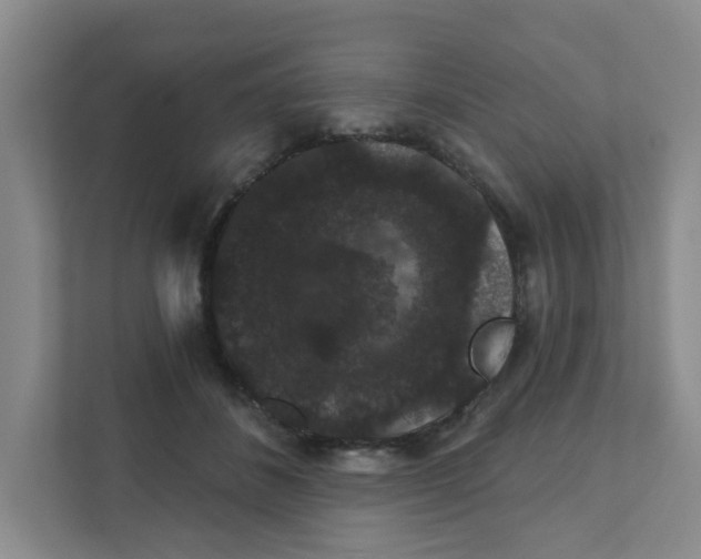 X0000111420508200908031307