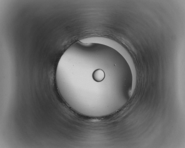 X0000111420509200908031307