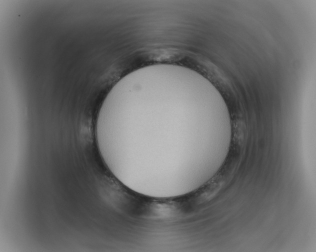 X0000111420510200908031307