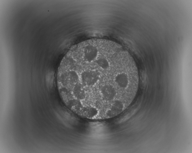 X0000111420511200908031307