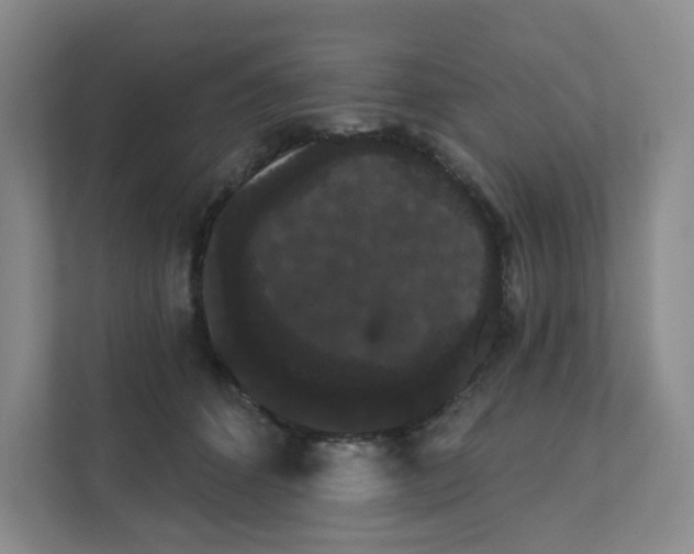 X0000111420512200908031307