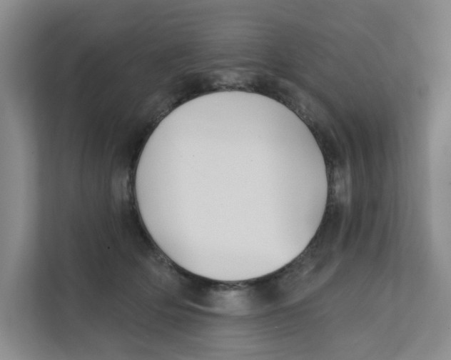 X0000111420514200908031307
