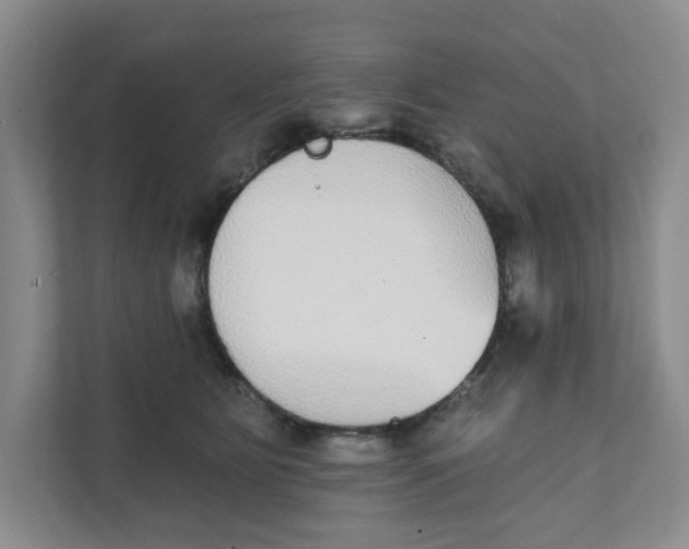 X0000111420515200908031307