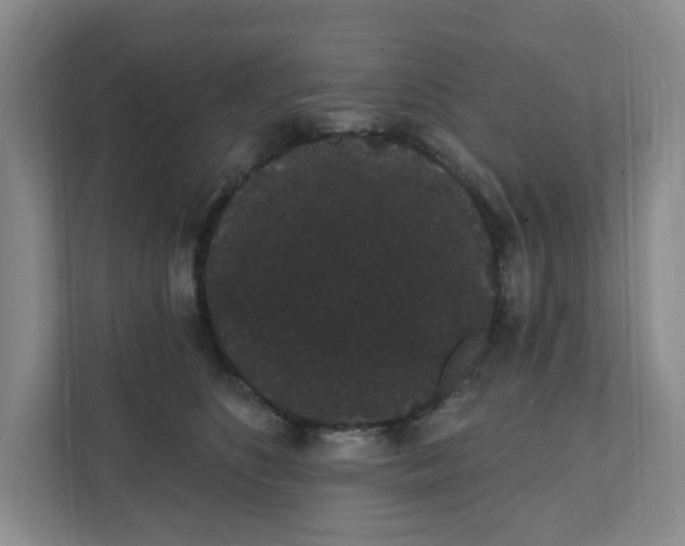 X0000111420516200908031307