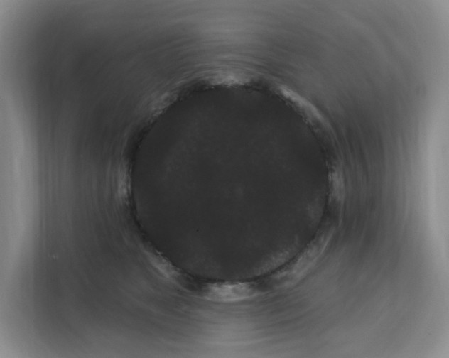 X0000111420517200908031307