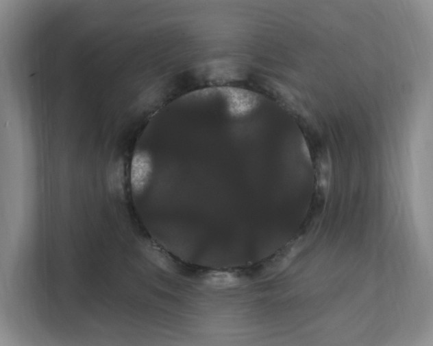 X0000111420519200908031307