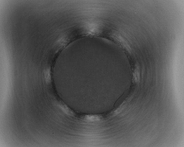 X0000111420520200908031307