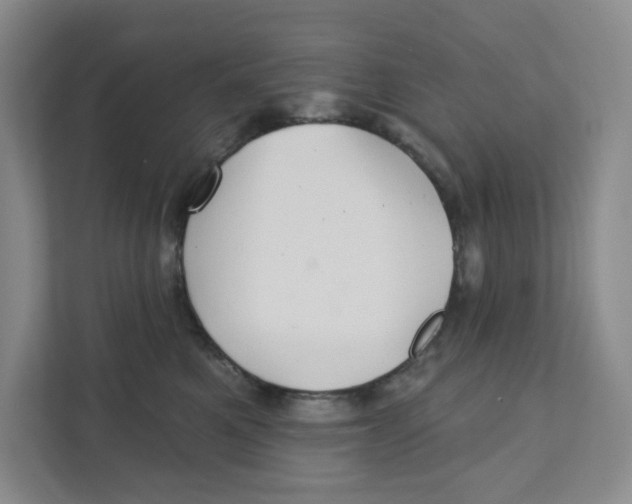 X0000111420521200908031307