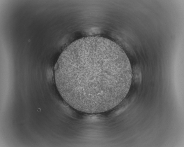 X0000111420523200908031307