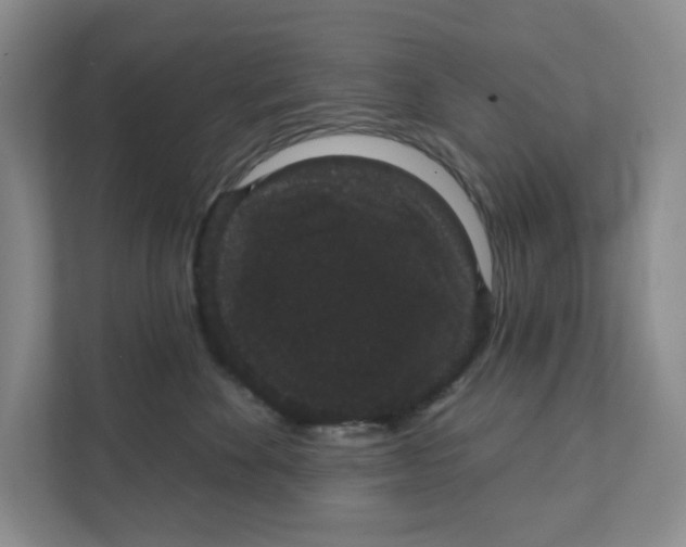 X0000111420524200908031307