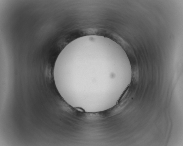 X0000111420525200908031307