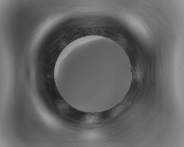 X0000111420526200908031307