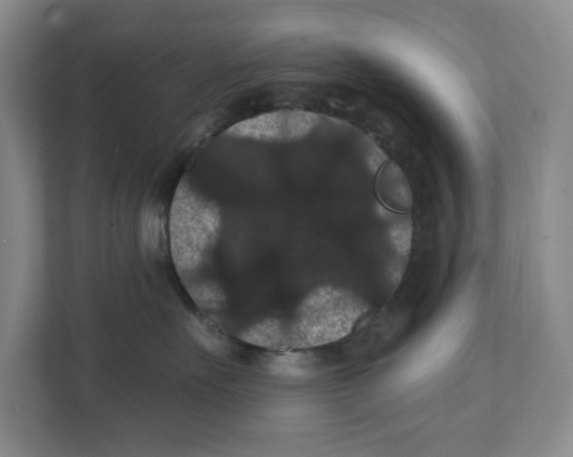 X0000111420527200908031307
