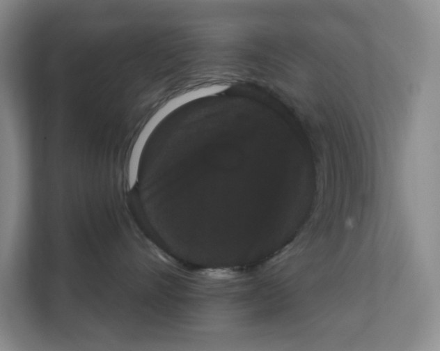 X0000111420528200908031307