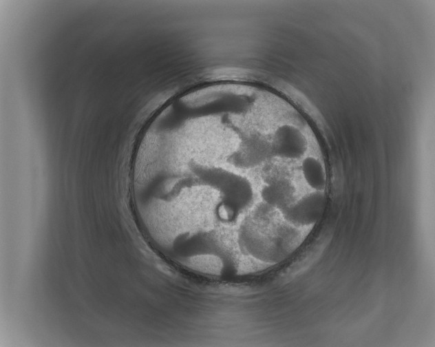 X0000111420529200908031307