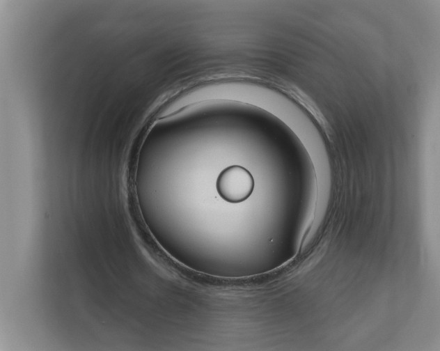 X0000111420530200908031307