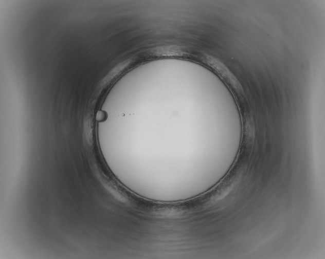 X0000111420533200908031307