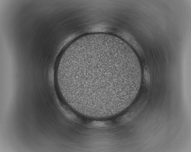 X0000111420534200908031307